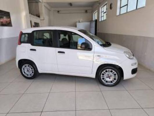 usato FIAT Panda