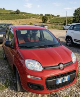 usato FIAT Panda