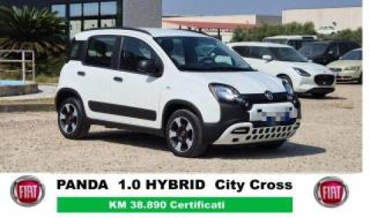 usato FIAT Panda Cross