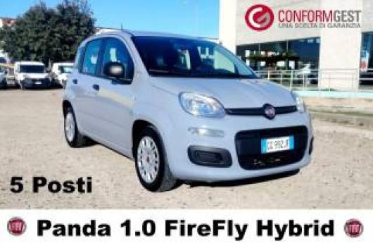 usato FIAT Panda