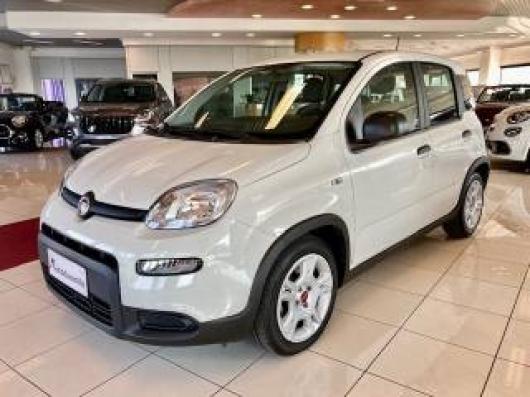 usato FIAT Panda