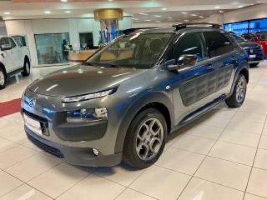 C4 Cactus