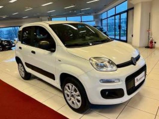 usato FIAT Panda