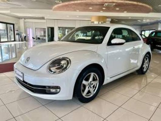 usato VOLKSWAGEN Maggiolino