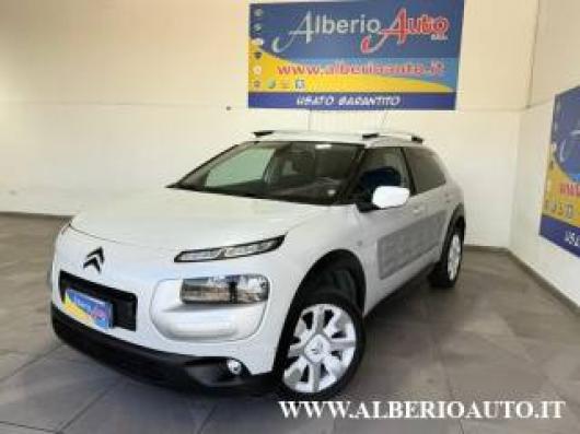 C4 Cactus
