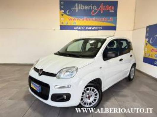 usato FIAT Panda