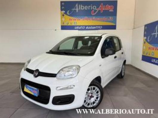 usato FIAT Panda