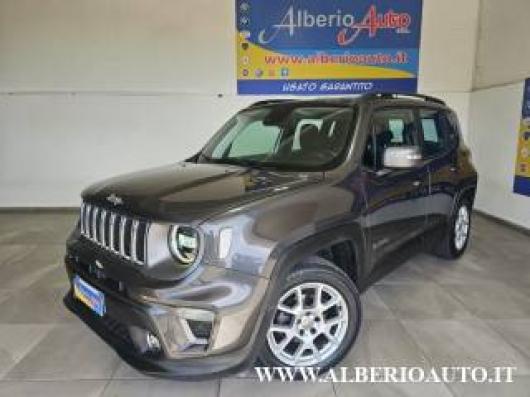 usato JEEP Renegade