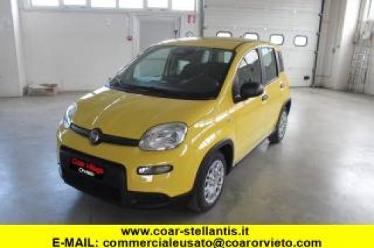 usato FIAT Panda