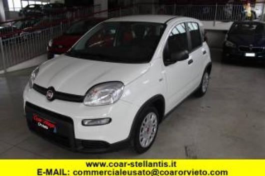 usato FIAT Panda