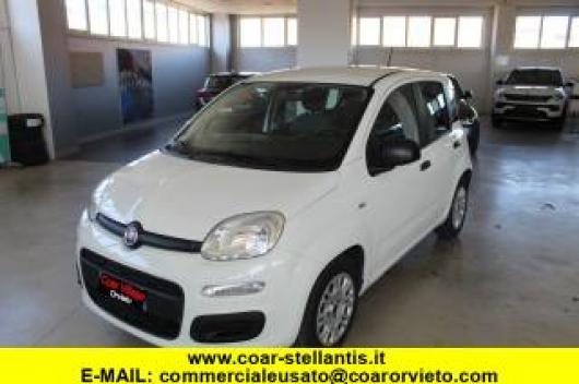 usato FIAT Panda
