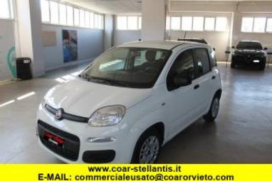 usato FIAT Panda