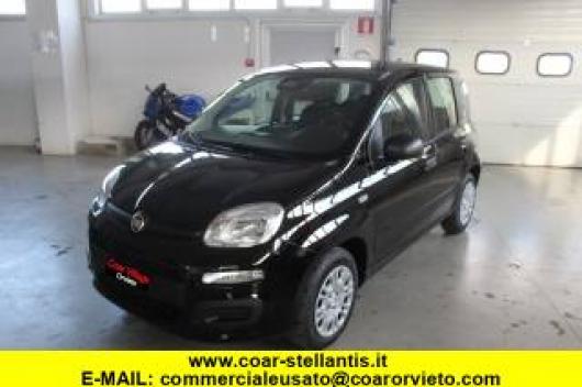 usato FIAT Panda