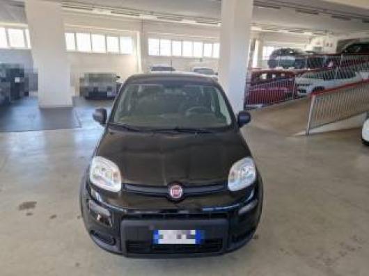 usato FIAT Panda