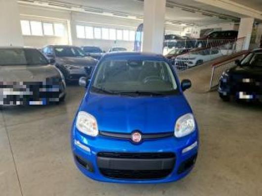 usato FIAT Panda