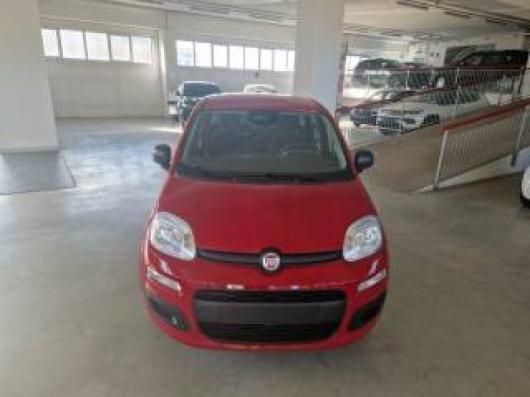 usato FIAT Panda