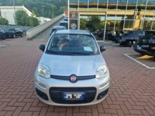 usato FIAT Panda