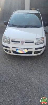 usato FIAT Panda