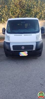 usato FIAT Ducato