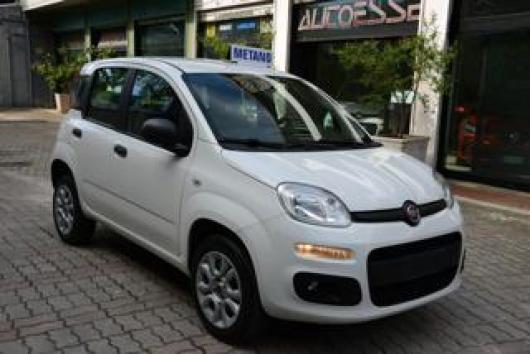 usato FIAT Panda