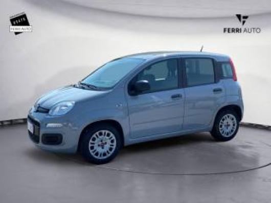usato FIAT Panda