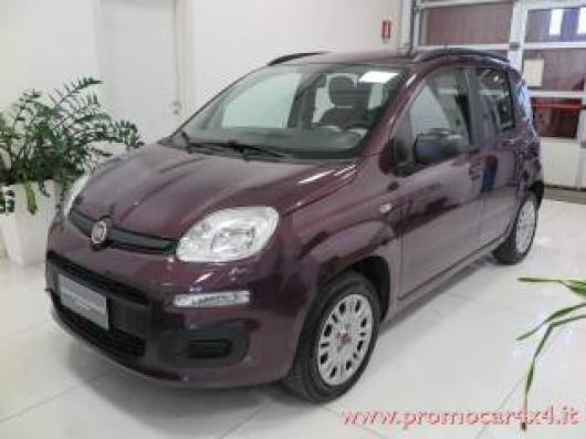 usato FIAT Panda