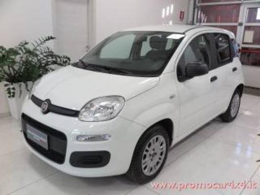 usato FIAT Panda