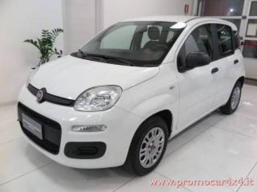 usato FIAT Panda