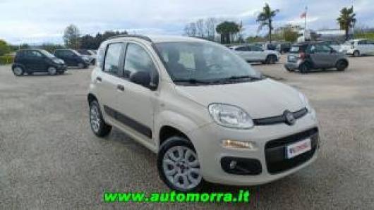 usato FIAT Panda