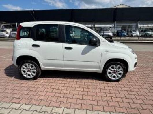 usato FIAT New Panda