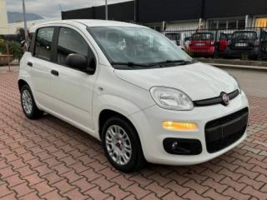 usato FIAT Panda