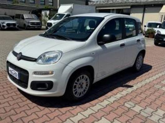 usato FIAT New Panda