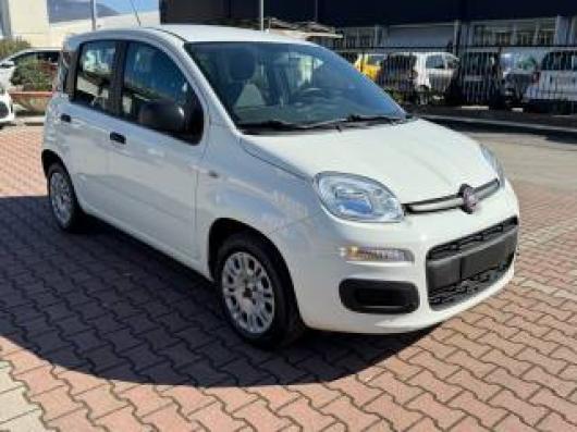 usato FIAT New Panda