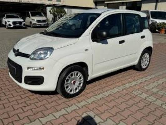 usato FIAT New Panda