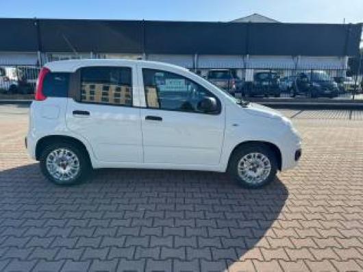 usato FIAT New Panda