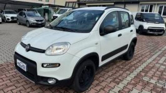 usato FIAT New Panda