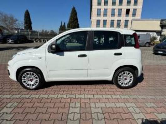usato FIAT New Panda