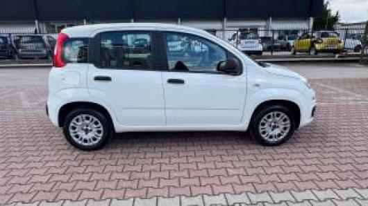 usato FIAT New Panda