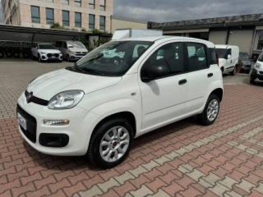 usato FIAT New Panda