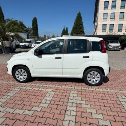 New Panda