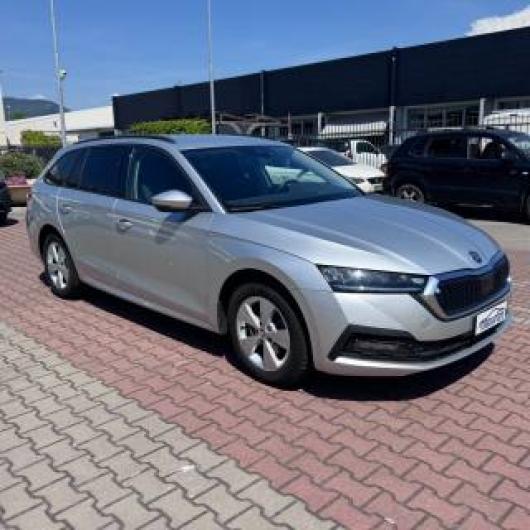 usato SKODA Octavia