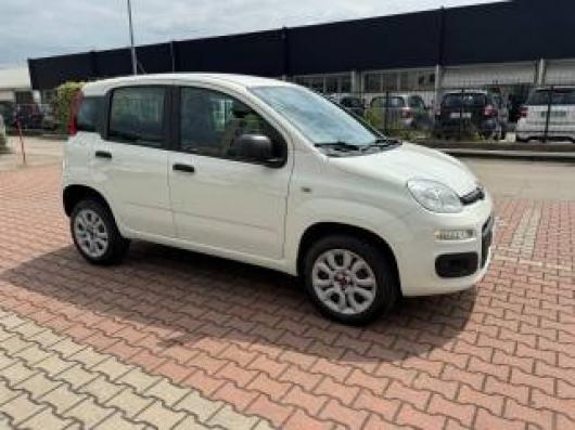 usato FIAT New Panda