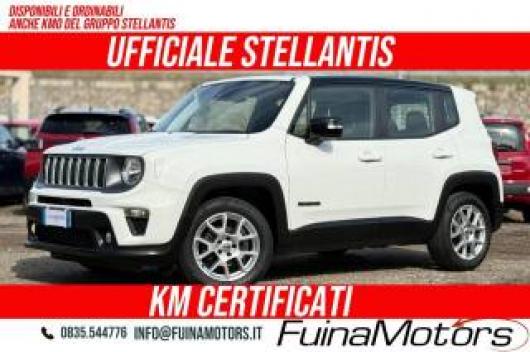 usato JEEP Renegade