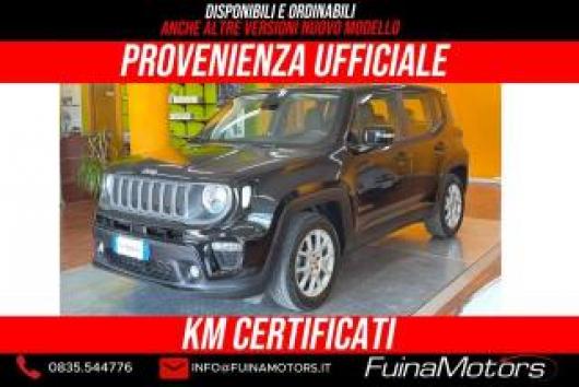 usato JEEP Renegade