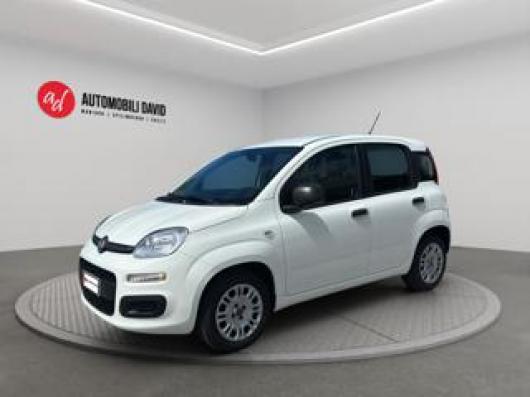 usato FIAT Panda