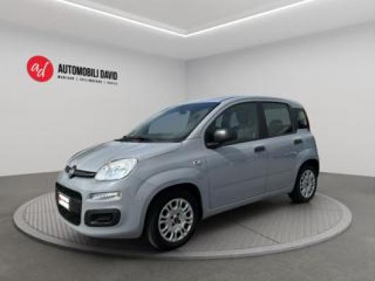 usato FIAT Panda