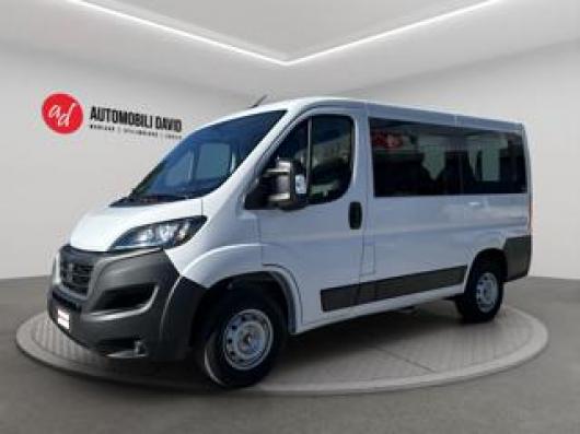 usato FIAT Ducato