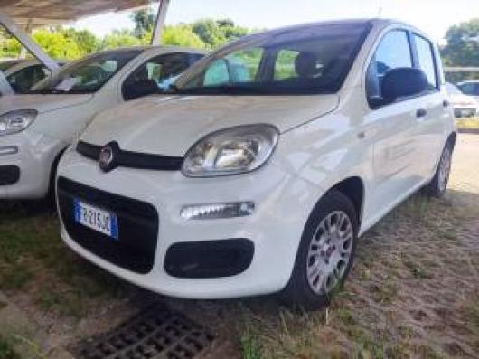 usato FIAT Panda