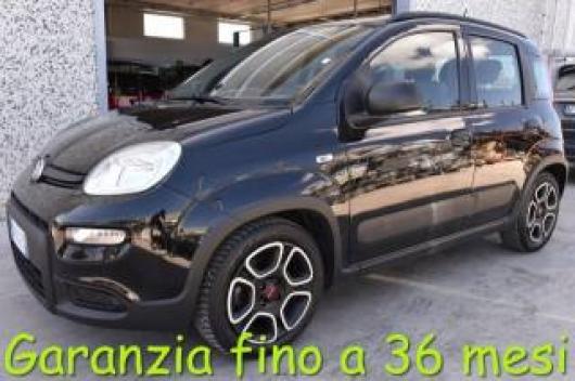 Panda