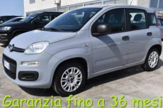 usato FIAT Panda